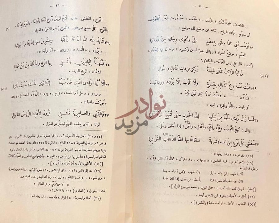صفحة داخلية كتاب ديوان سحيم صفحات من النص الشعري
