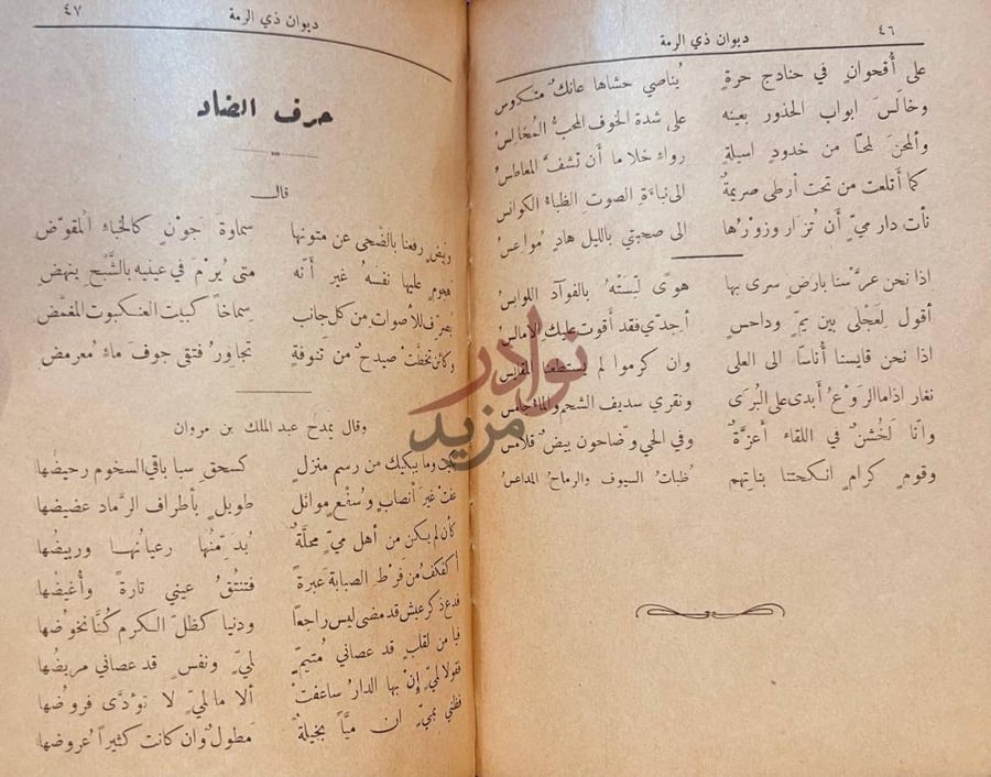 صفحة داخلية كتاب ديوان ذي الرمة حرف الضاد