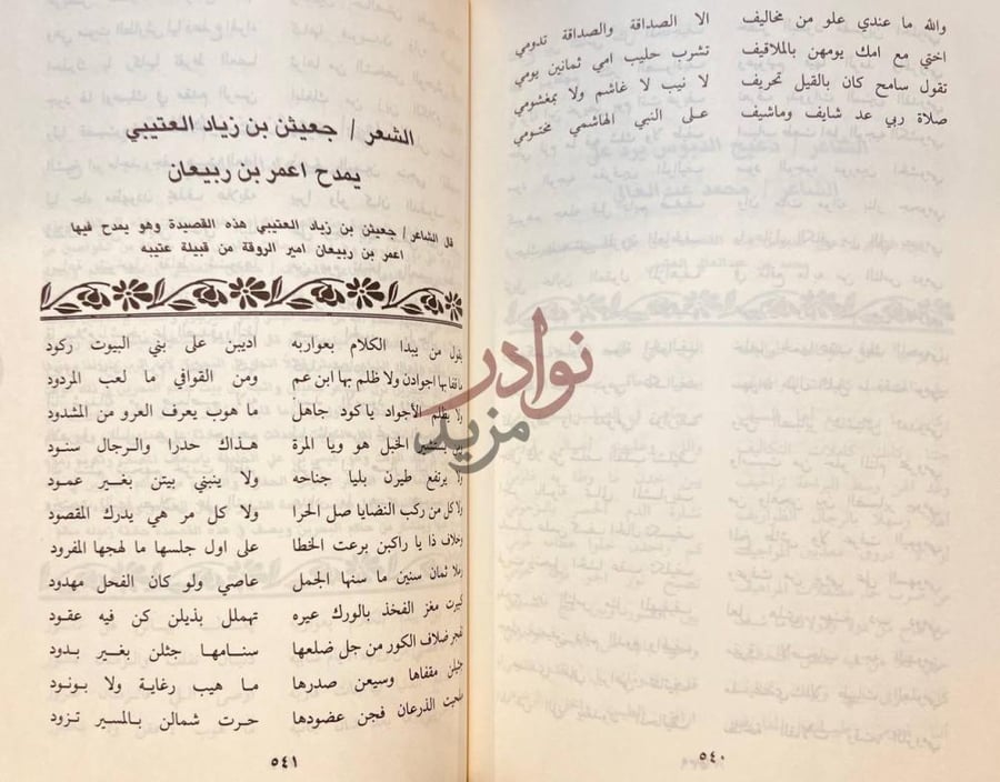 صفحة داخلية كتاب ديوان الامثال اشعار ومواقف
