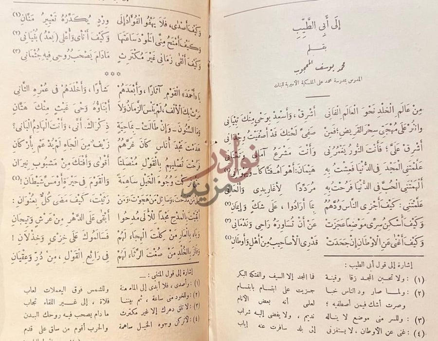 صفحة داخلية كتاب ابو الطيب المتنبى بعد الف سنة