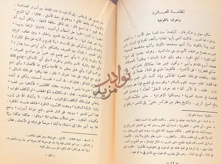 صفحة داخلية كتاب مجمع البحرين المقامة العاشرة