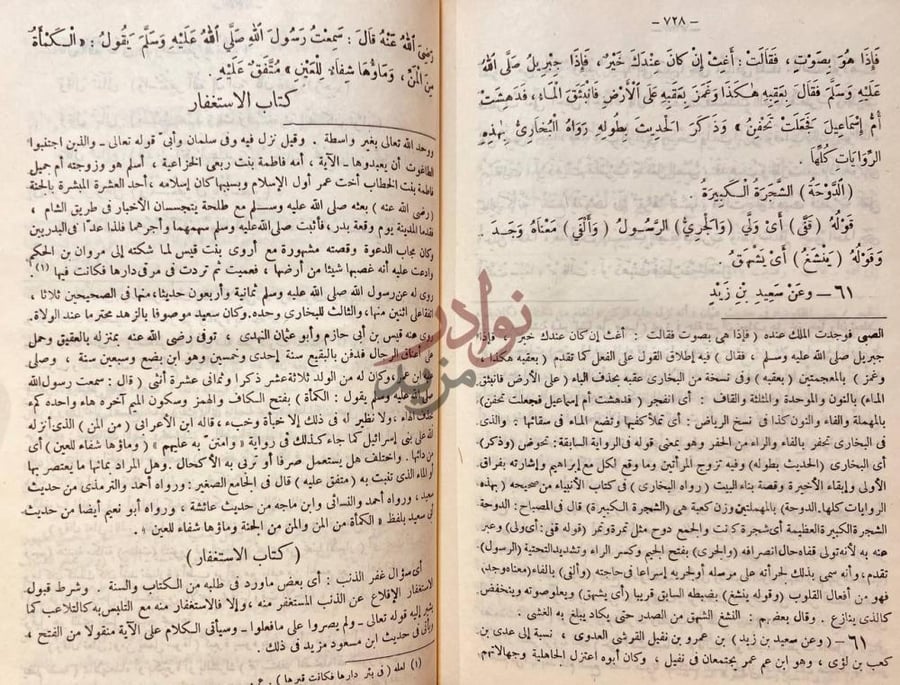 صفحة داخلية كتاب دليل الفالحين لطرق رياض الصالحين