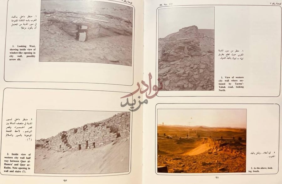 صفحة داخلية كتاب مقدمة عن اثار تيماء لوحة رقم لوحة رقم