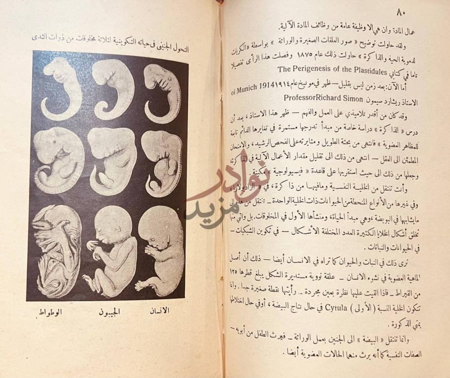 صفحة داخلية كتاب فصل المقال في فلسفة النشوء والارتقاء