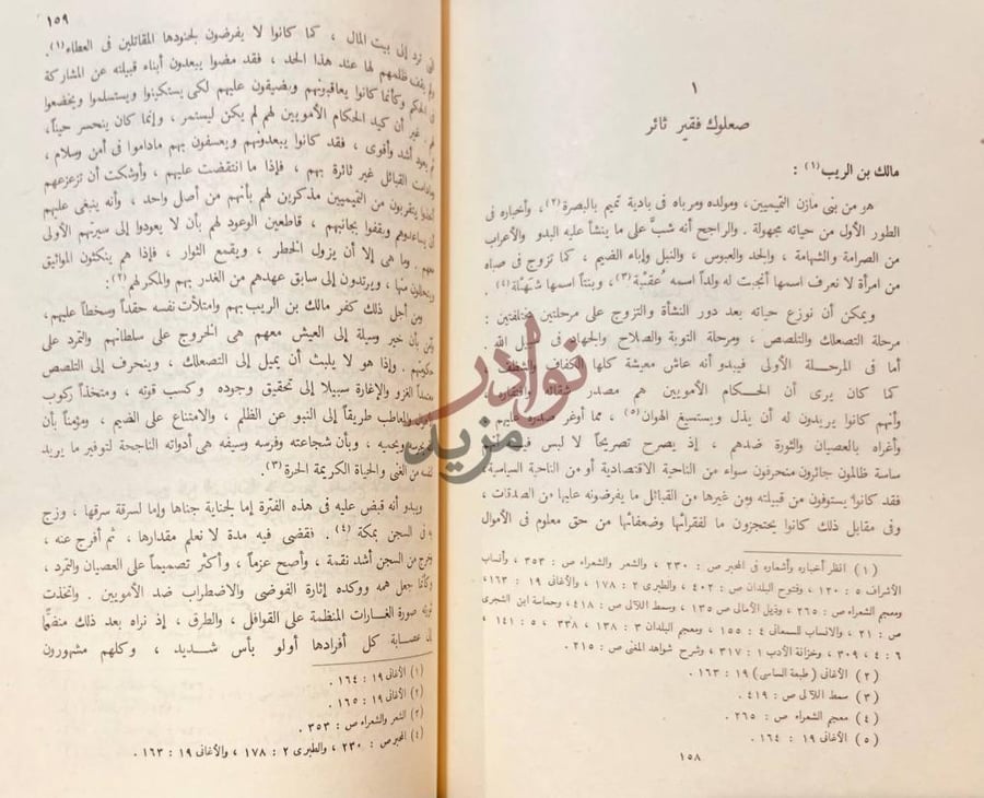 فصل كتاب الشعراء الصعاليك في العصر الاموي صعلوك فقير ثائر