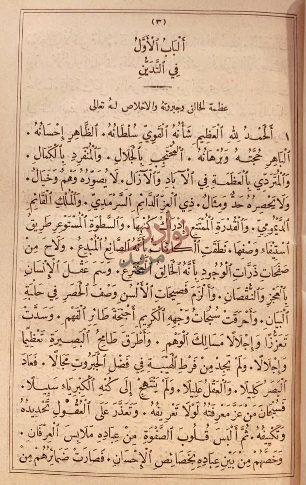 صفحة داخلية كتاب مجاني الادب في حدائق العرب