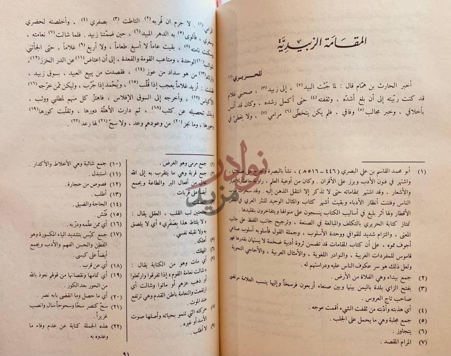 صفحة داخلية كتاب مختارات من ادب العرب المقامات الزبيرية