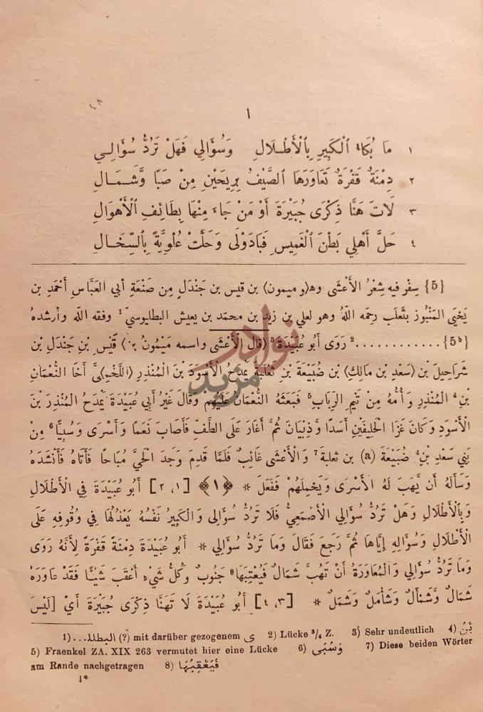 صفحة داخلية كتاب الصبح المنير في شعر ابي بصير