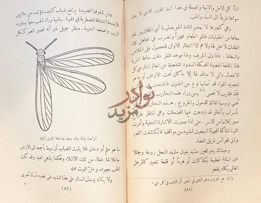 صفحة داخلية كتاب مملكة الظلام او حياة الارضة