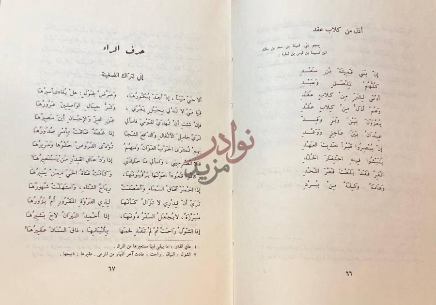 صفحة داخلية كتاب ديوان الاعشى حرف الراء