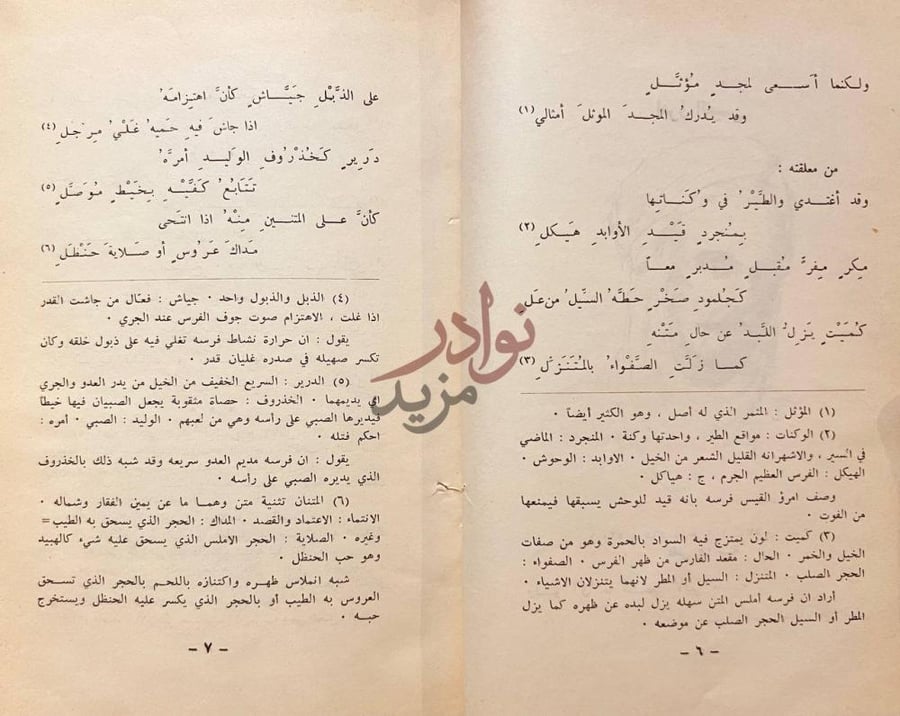 صفحة داخلية كتاب من عيون الشعر