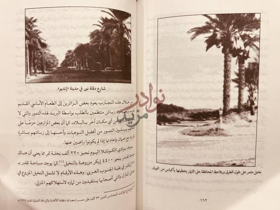صفحة داخلية كتاب نخلة عربية في صحراء كالفورنيا قصة نقل النخلة