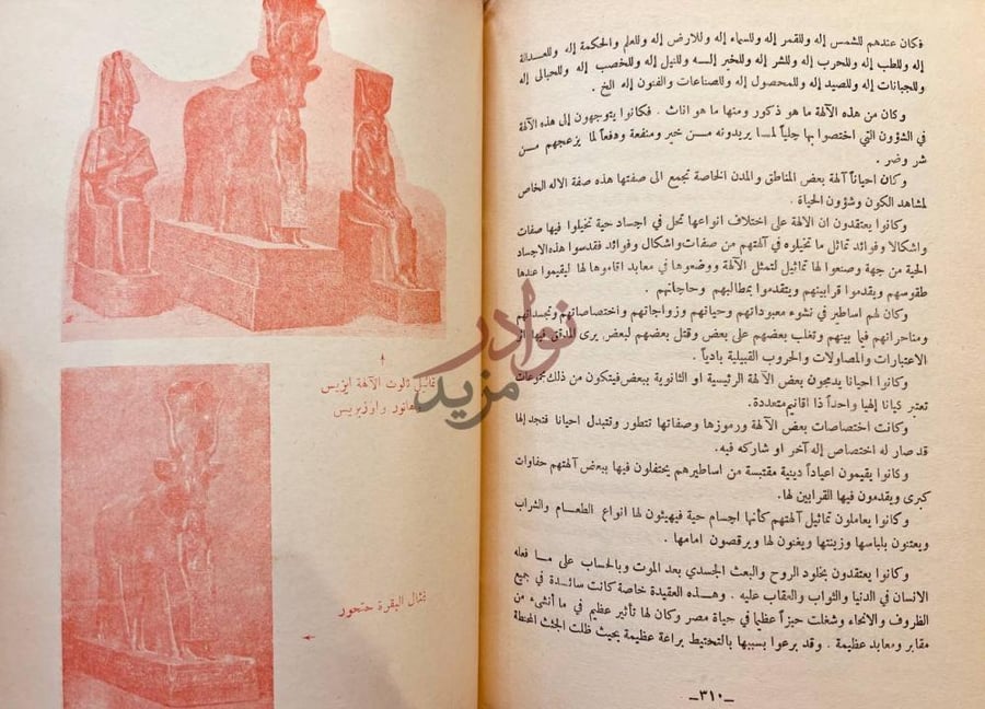 صفحة داخلية كتاب تاريخ موجبات الجنس العربي ودولها وماثرها
