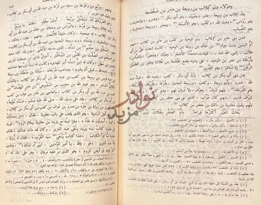صفحة داخلية كتاب جمهرة انساب العرب وهؤلاء بنو كلاب بن