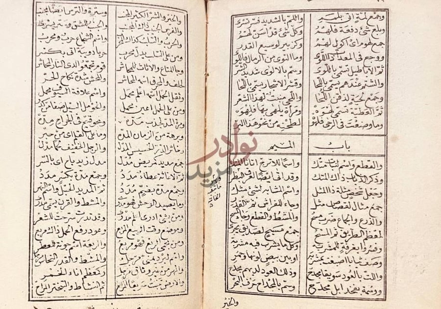 صفحة داخلية كتاب نفحة الاكمام في مثلث الكلام باب الميم