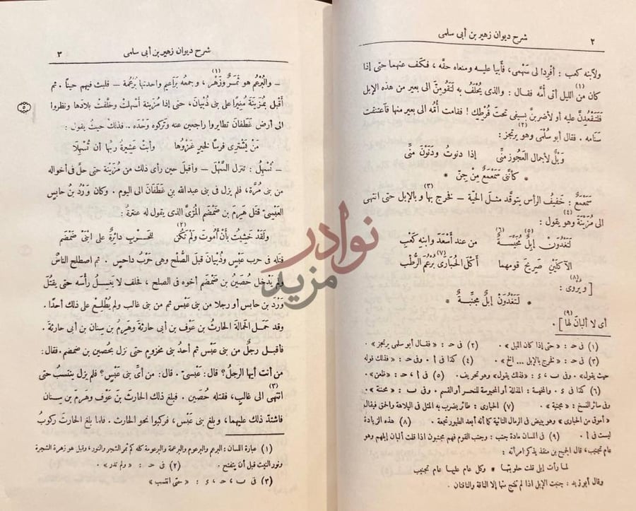 صفحة داخلية كتاب شرح ديوان زهير بن ابي سلمى صورة 6
