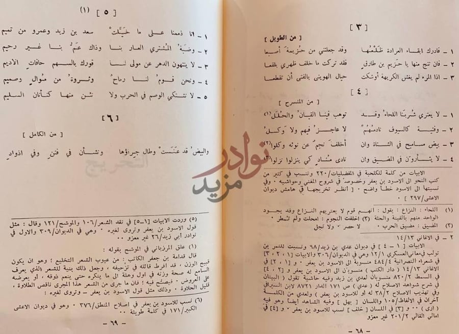 صفحة داخلية كتاب ديوان الطفيل الغنوي