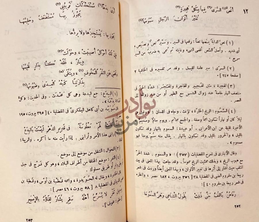 صفحة داخلية كتاب ديوان المثقب العبدي