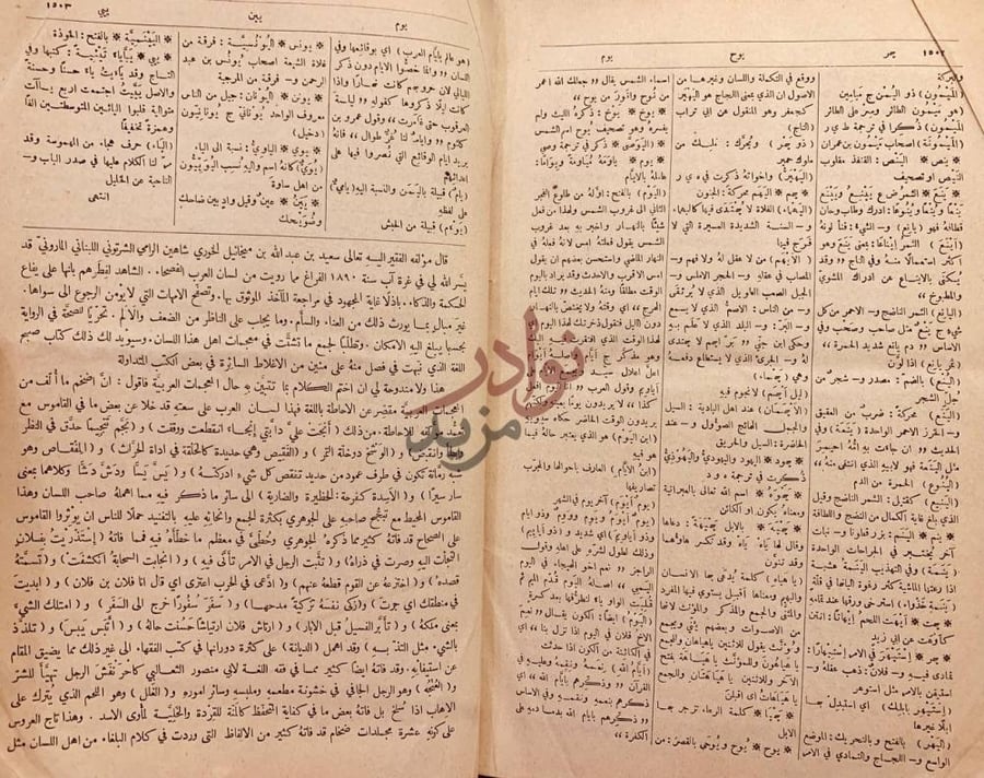 صفحة داخلية كتاب اقرب الموارد في فصح العربية والشوارد