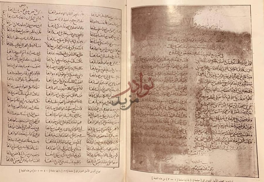 صفحة داخلية كتاب ديوان مهيار الديلمي تاريخ شعر الأصل