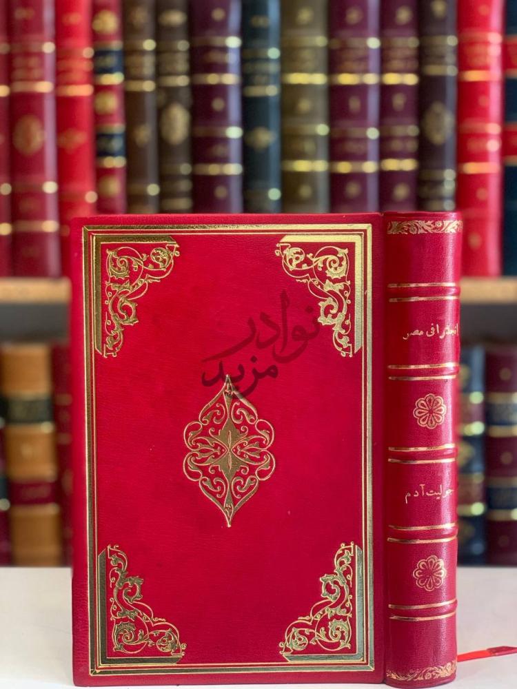 صورة من كتاب انجلترا في مصر