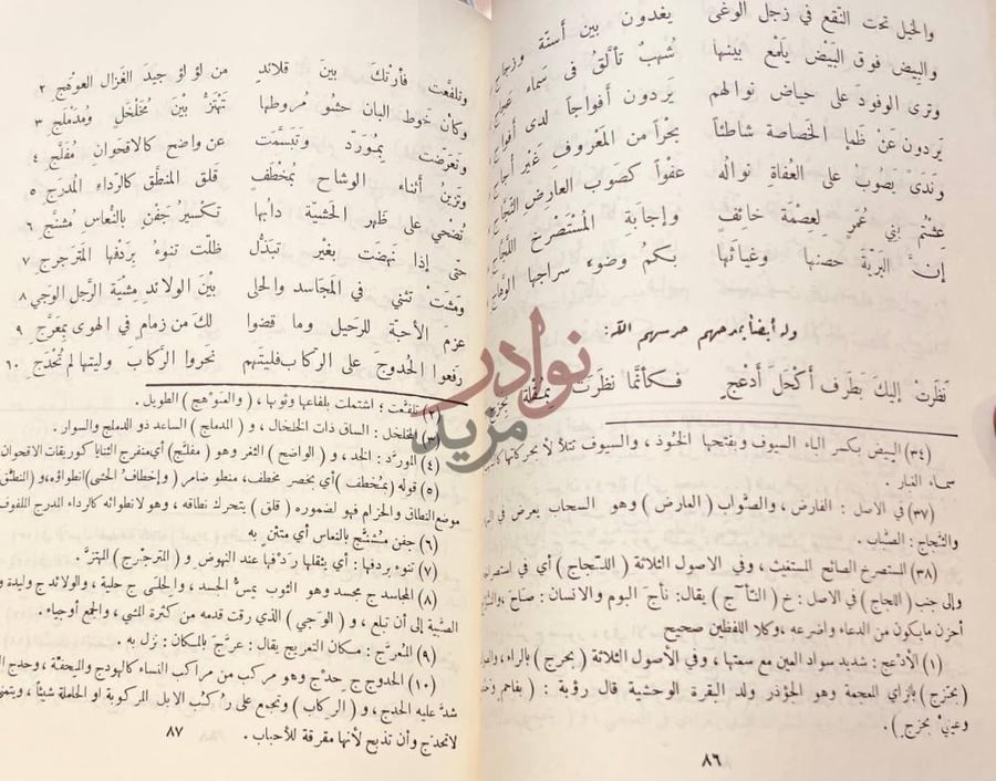 صفحة داخلية كتاب ديوان الستالي نظرت إليك بط رف