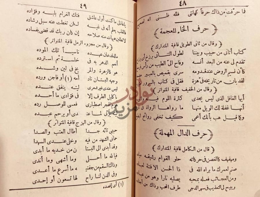 صفحة داخلية كتاب ديوان ابي الفضل بهاء الدين زهير