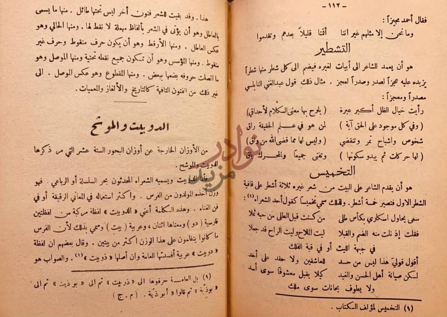صفحة داخلية كتاب الادب الرفيع في ميزان الشعر وقوافيه