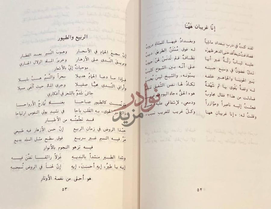 صفحة داخلية كتاب ديوان النهضة الربيع والطيور