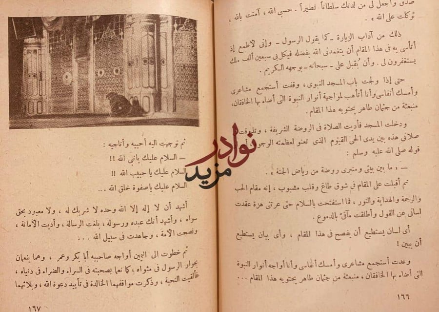 في ارض المعجزات/محمد حته