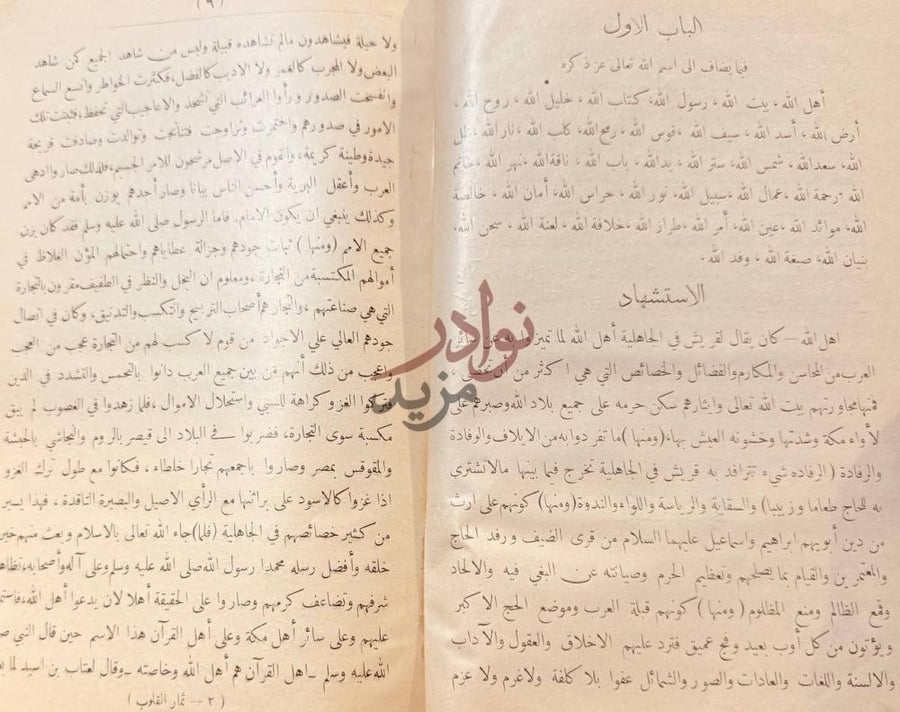 صفحة داخلية كتاب ثمار القلوب في المضاف والمنسوب الباب الاول