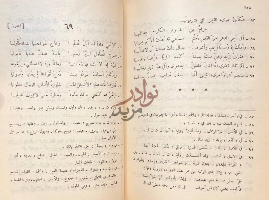 صفحة داخلية كتاب ديوان ذي الرمة الطويل