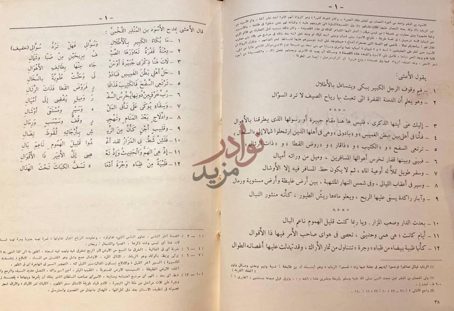 صفحة داخلية كتاب ديوان الاعشى الكبير ميمون بن قيس