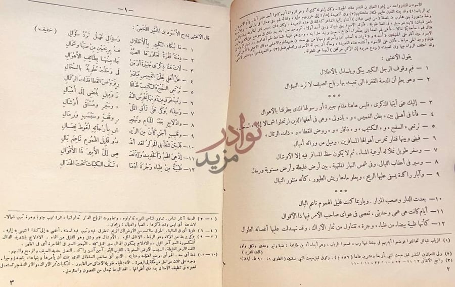صفحة داخلية كتاب ديوان الاعشى الكبير قال الأعشى يمدح