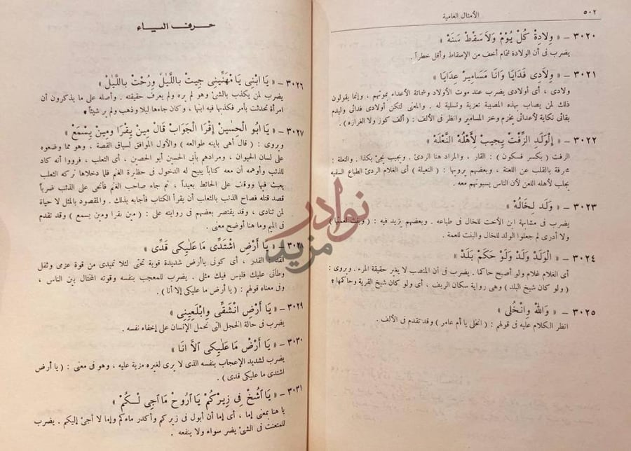 صفحة داخلية كتاب الامثال العامية حرف الضياء