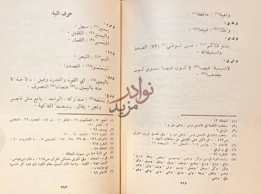 صفحة داخلية كتاب تحفة الاريب بما في القران من الغريب