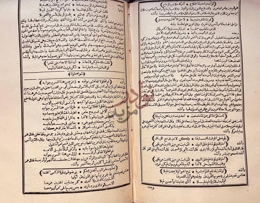 صفحة داخلية كتاب شرح شواهد المغني شواهد واو