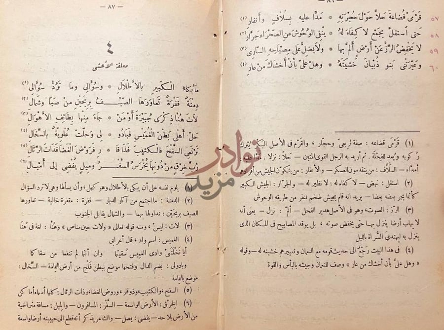 صفحة داخلية كتاب جمهرة اشعار العرب معلقة الأعشى