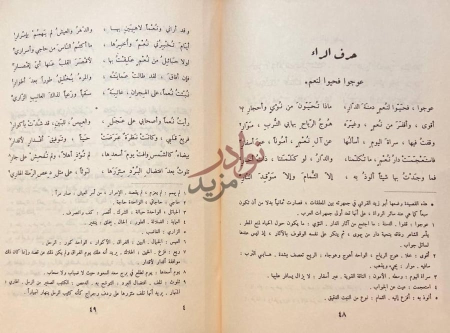 صفحة داخلية كتاب ديوان النابغة الذبياني حرف الراء