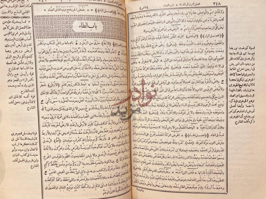 صفحة داخلية كتاب القاموس المحيط باب الطاء