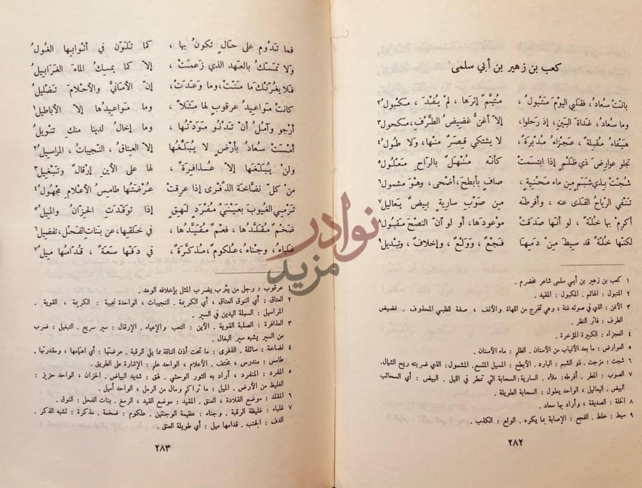 صفحة داخلية كتاب جمهرة اشعار العرب كعب بن زهير بن أبي