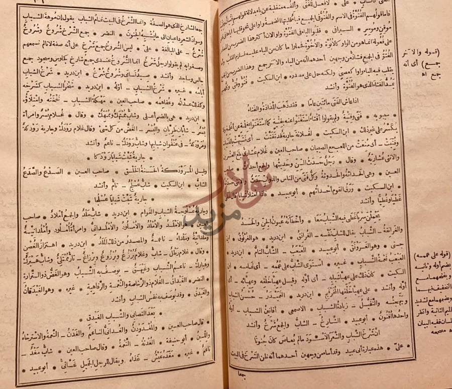 صفحة داخلية كتاب المخصص في وصف الشباب