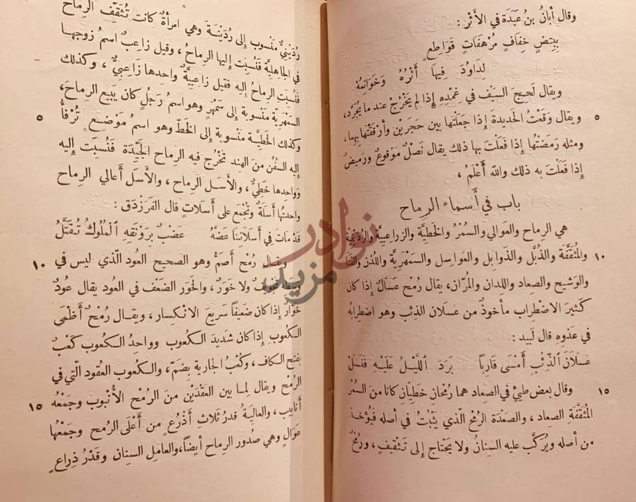 صفحة داخلية كتاب نظام الغريب باب في أسماء الرماح
