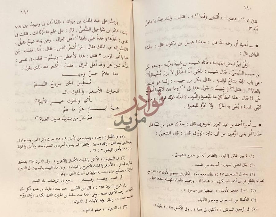 صفحة داخلية كتاب المصون في الادب