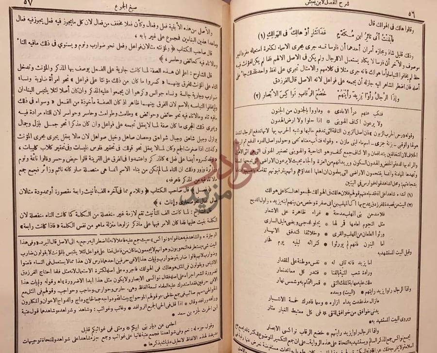 صفحة داخلية كتاب شرح المفصل صيغ الجمع
