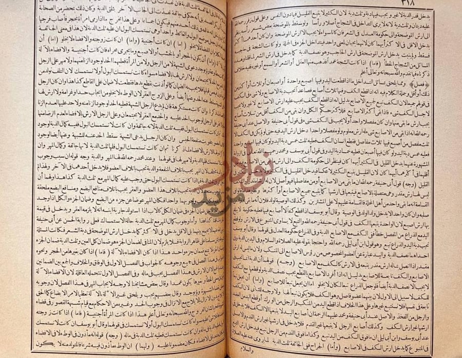 صفحة داخلية كتاب بدائع الصنائع في ترتيب الشرائع فصل