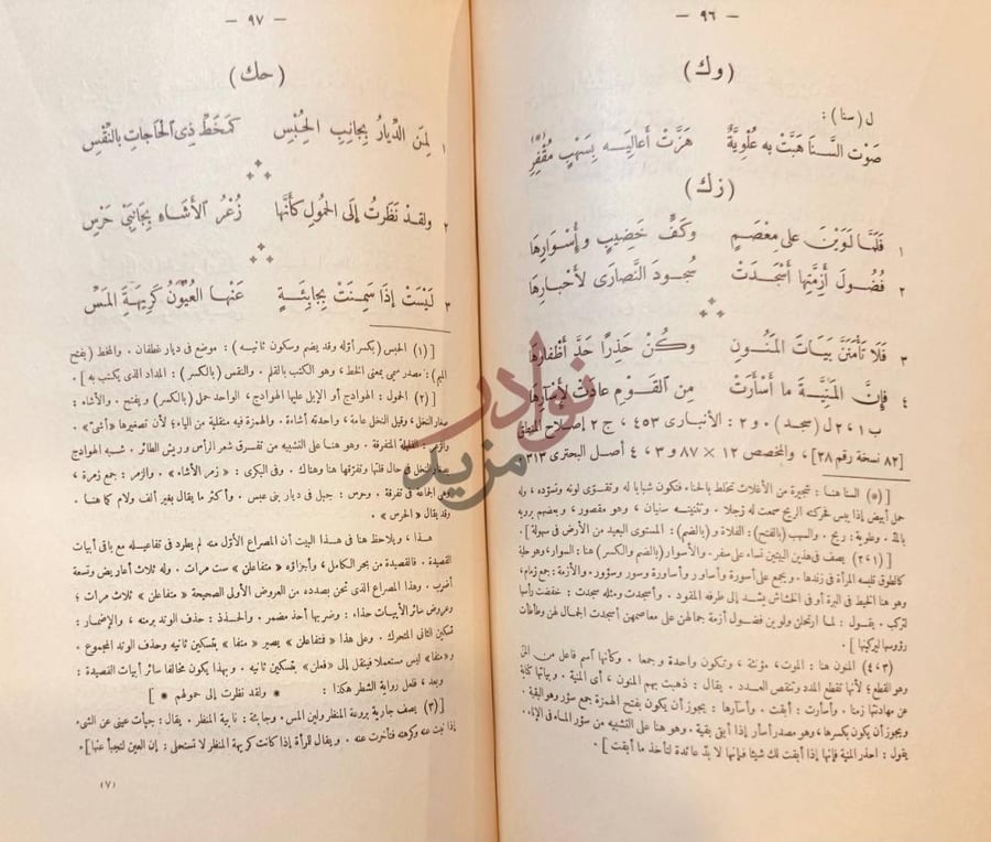 صفحة داخلية كتاب ديوان حميد بن ثور الهلالي وك زك حك صورة 7