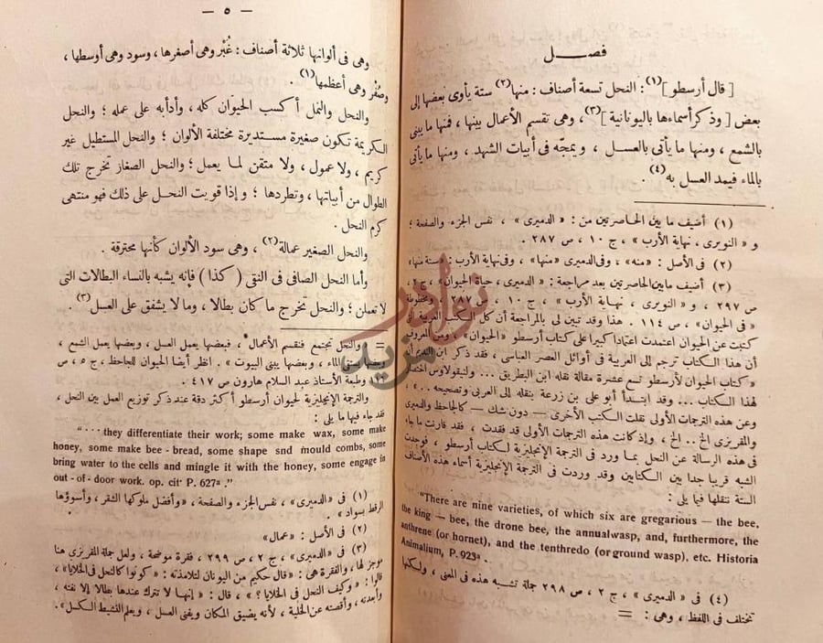 صفحة داخلية كتاب نحل عبر النحل فصل