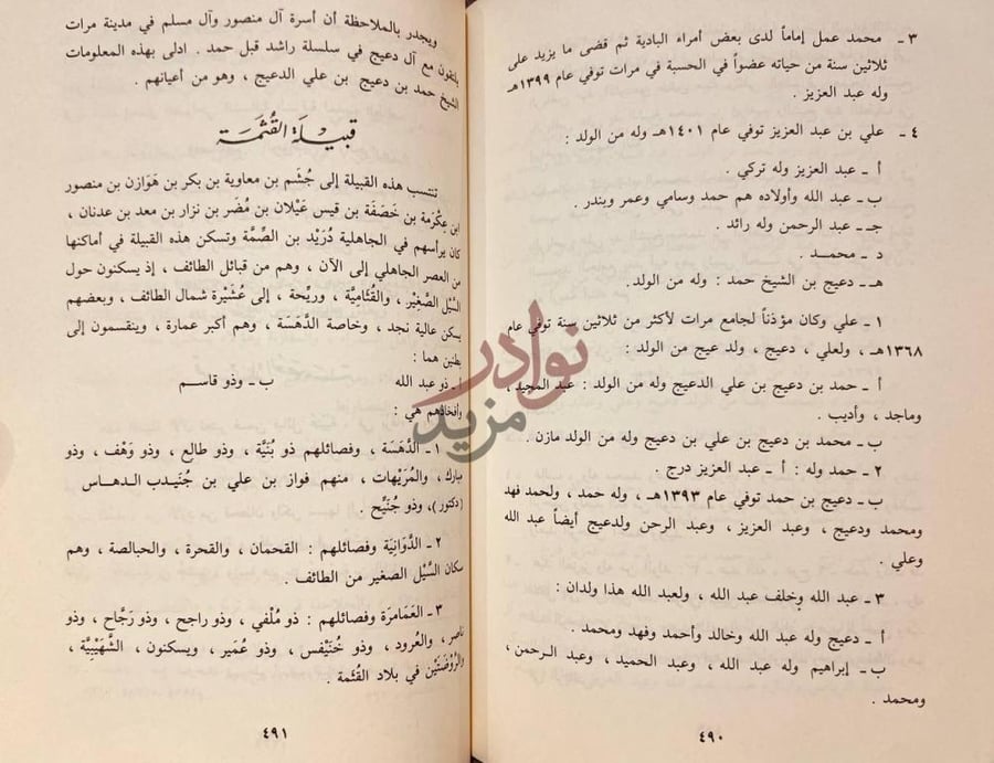 صفحة داخلية كتاب المنتخب في ذكر انساب قبائل العرب