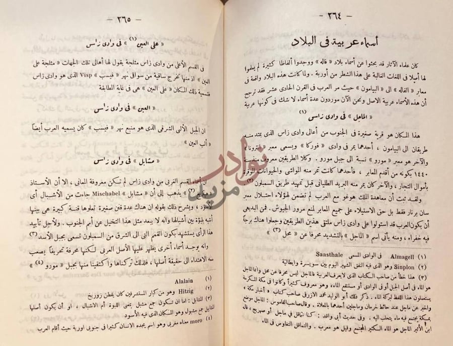 صفحة داخلية كتاب تاريخ غزوات العرب في فرنسا وسويسرا وايطاليا